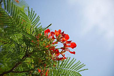 2D格斗游戏《英灵乱战》与《星球大战》第二波联动全新预告公布